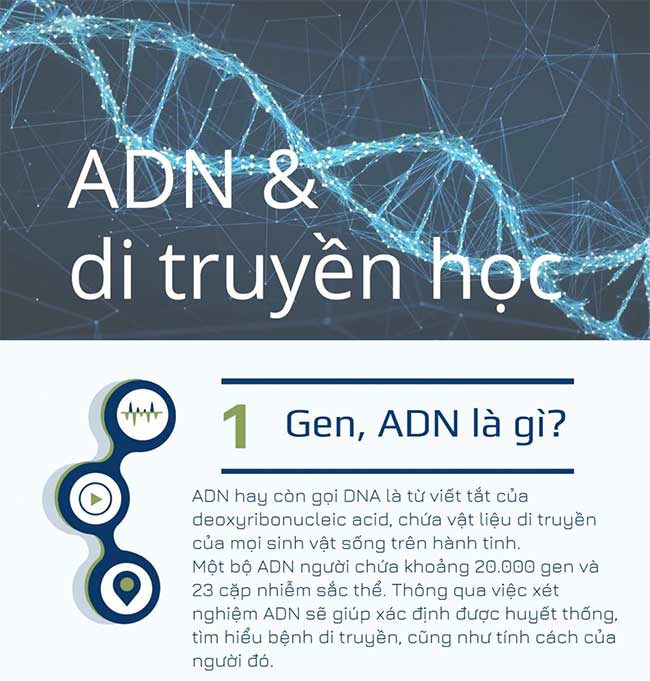 7. Các yếu tố ảnh hưởng đến hàm lượng ADN