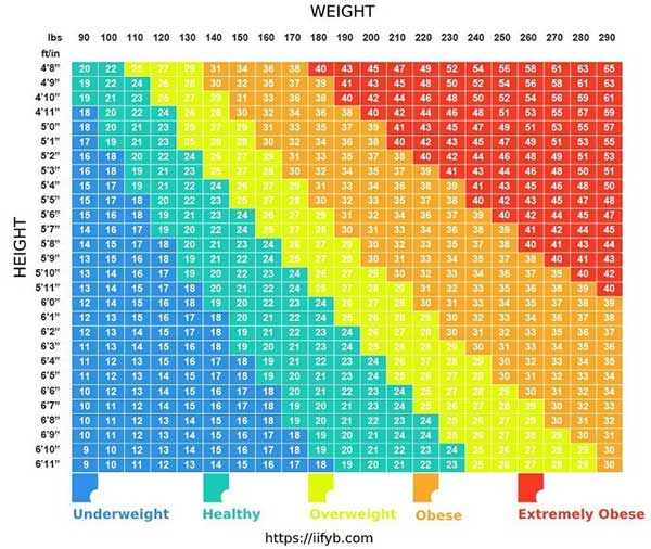 BMI và tỉ lệ mỡ: Chỉ có một trong 2 chỉ số này thực sự quan trọng