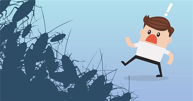 Vì sao con gián lại gây cảm giác đáng sợ, kinh tởm?