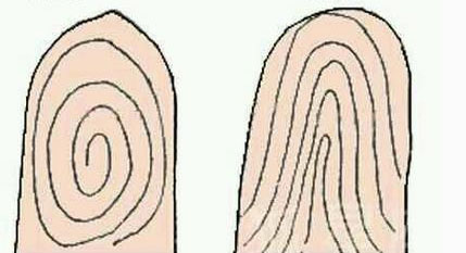Thời cổ đại làm thế nào nhận dạng qua điểm chỉ vân tay?