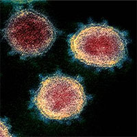 Tìm thấy xúc tu nguy hiểm trong cấu tạo của virus gây Covid-19