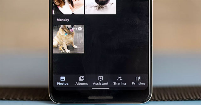 Thay đổi quan trọng của Google Photos mà bạn cần biết