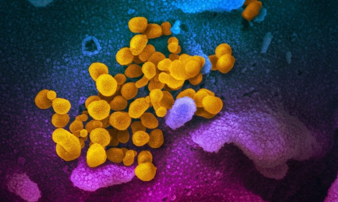Chủng virus nCoV hiện dễ lây nhiễm hơn ban đầu