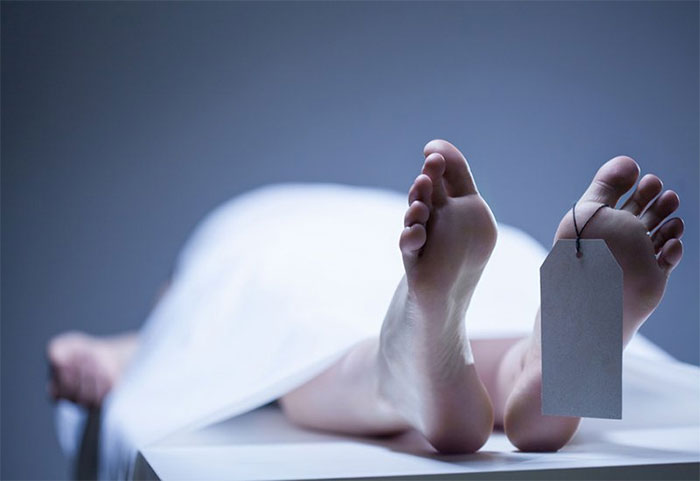 Cái chết đen: Nỗi ám ảnh bệnh dịch hạch