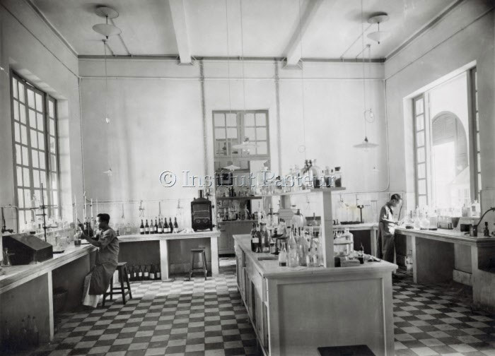 Louis Pasteur - Từ sinh viên sư phạm đến cha đẻ của vaccine phòng dại