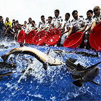 Vì sao sau khi xây xong đập Tam Hiệp, Trung Quốc phải thả vào 10.000 con cá?