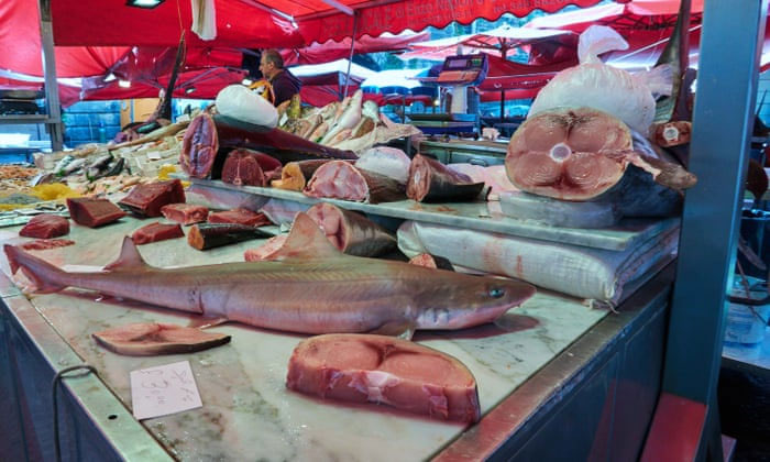 Nhiều người tưởng đang ăn cá hồi, cá kiếm nhưng thực ra là cá mập