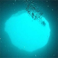 Bí ẩn những “lỗ xanh” xuất hiện ngoài khơi Florida, Mỹ