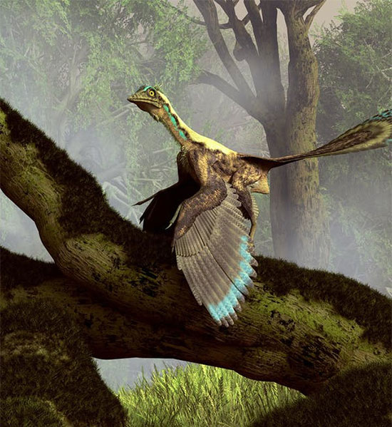 Khủng long bay archaeopteryx