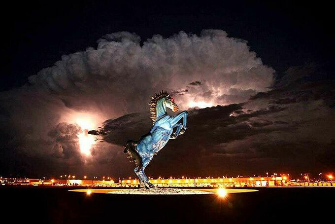 Blue Mustang là một trong những tác phẩm điêu khắc hình ngựa nổi tiếng nhất thế giới.