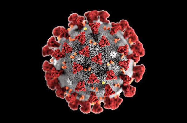 Tiến sĩ tại BV Nhi số 1 tại Mỹ phát hiện: Virus SARS-CoV-2 thay đổi hình dạng để 