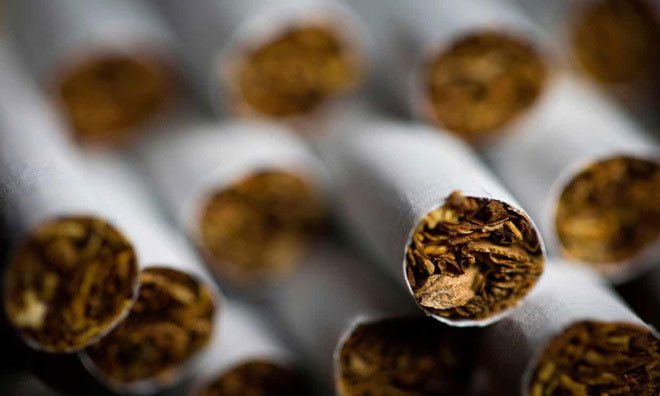 Thử nghiệm miếng dán nicotine ngừa Covid-19