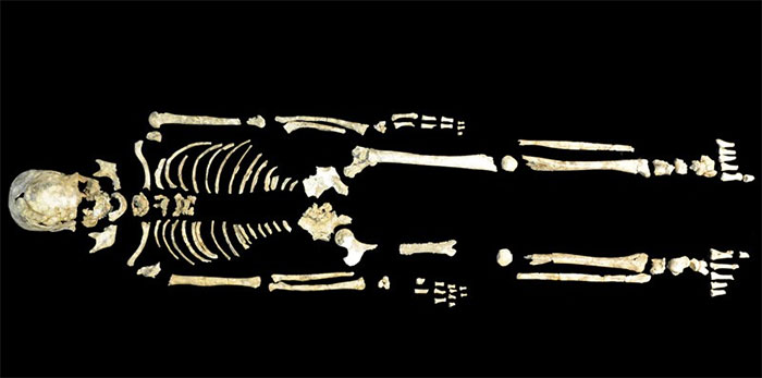 Bộ xương cổ 8.400 năm tuổi được tìm thấy khi khai quật tại Phúc Kiến (Trung Quốc).