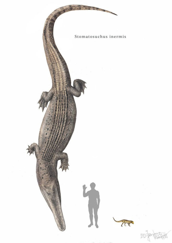 Stomatosuchus inermis: Loài cá sấu cổ đại có thể 