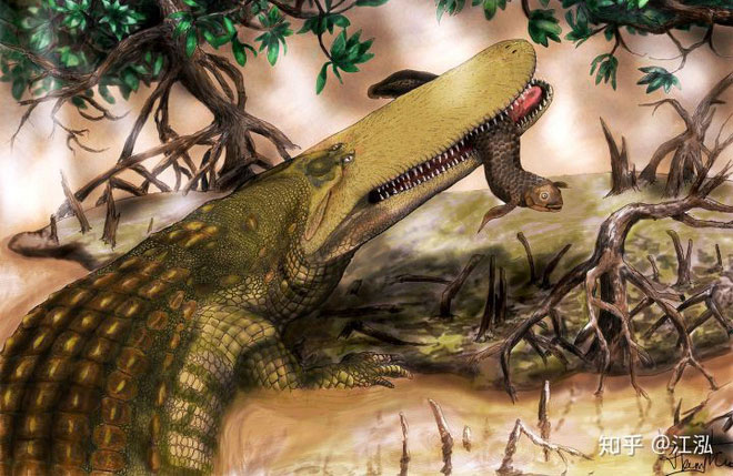 Stomatosuchus inermis: Loài cá sấu cổ đại có thể 