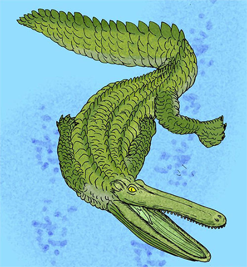 Stomatosuchus inermis: Loài cá sấu cổ đại có thể 