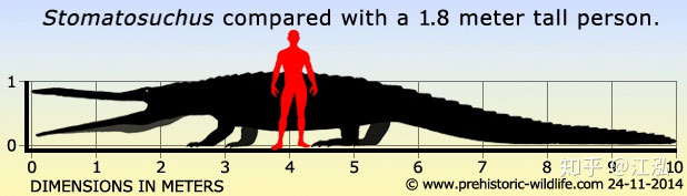 Stomatosuchus inermis: Loài cá sấu cổ đại có thể 