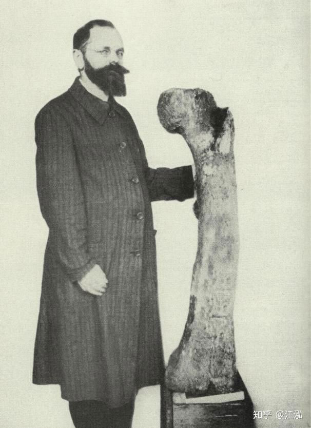 Stomatosuchus inermis: Loài cá sấu cổ đại có thể 