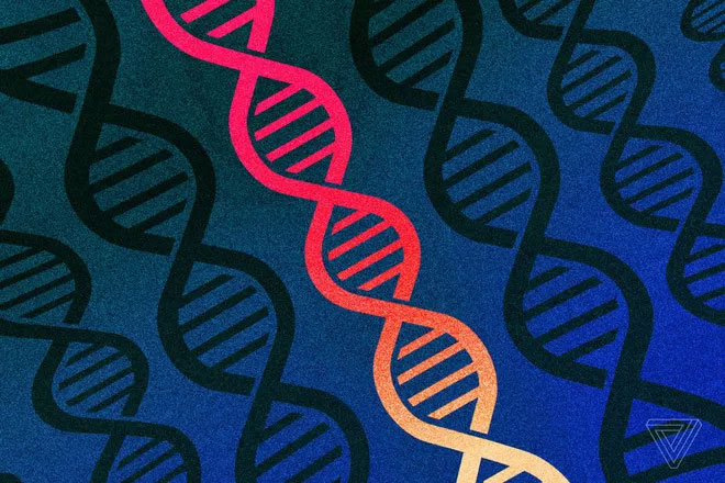 Các nhà khoa học phải đổi tên mã gene của con người, vì phần mềm Excel liên tục đọc sai thành dạng ngày tháng