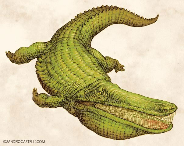 Stomatosuchus inermis: Loài cá sấu cổ đại có thể 