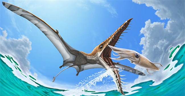 Rhamphorhynchus: Loài thằn lằn bay "tí hon" sở hữu hàm răng của tử thần