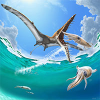 Rhamphorhynchus: Loài thằn lằn bay "tí hon" sở hữu hàm răng của tử thần