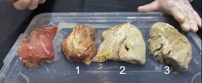 Lấy 3 miếng thịt cho rắn Taipan, rắn chúa bụi và rắn Fer De Lance cắn: Kết quả bất ngờ!