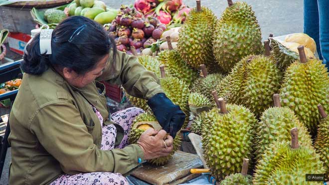 Từ sầu riêng tới kim cương: những vật liệu không tưởng có thể thay thế công nghệ pin li-ion