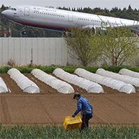 Bác nông dân từ chối 40 tỷ tiền bồi thường để trồng rau giữa sân bay