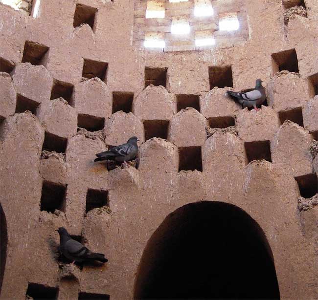 Khám phá tháp chim bồ câu hàng trăm năm tuổi ở Iran