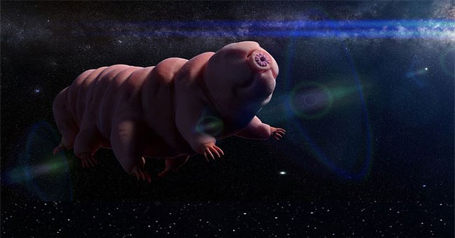 Bí ẩn sinh vật bất tử sống tốt ở hành tinh khác, có thể lai với con người