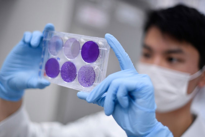 Vì sao sản xuất vaccine cần nhiều thời gian?