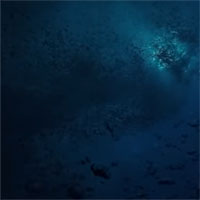 Có gì bên dưới rãnh đại dương Mariana sâu nhất thế giới?
