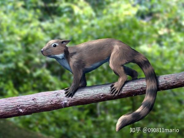 Tìm thấy dấu vết của động vật có vú trên hóa thạch của loài khủng long Mamenchisaurus