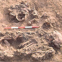 Sốc với "người đẹp" 4.500 tuổi mang theo xương người khác vào mộ