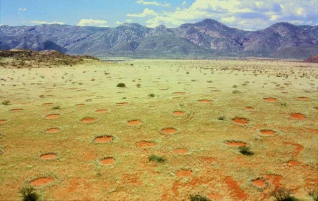 "Vòng tròn thần tiên” ở Namibia là điểm nổi tiếng và hấp dẫn đối với các nhà khoa học.