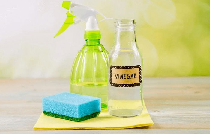 Những cách đuổi chuột tại nhà đơn giản không tốn chi phí