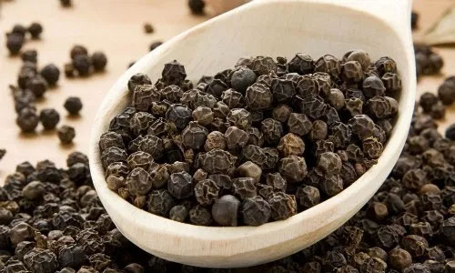 Những cách đuổi chuột tại nhà đơn giản không tốn chi phí