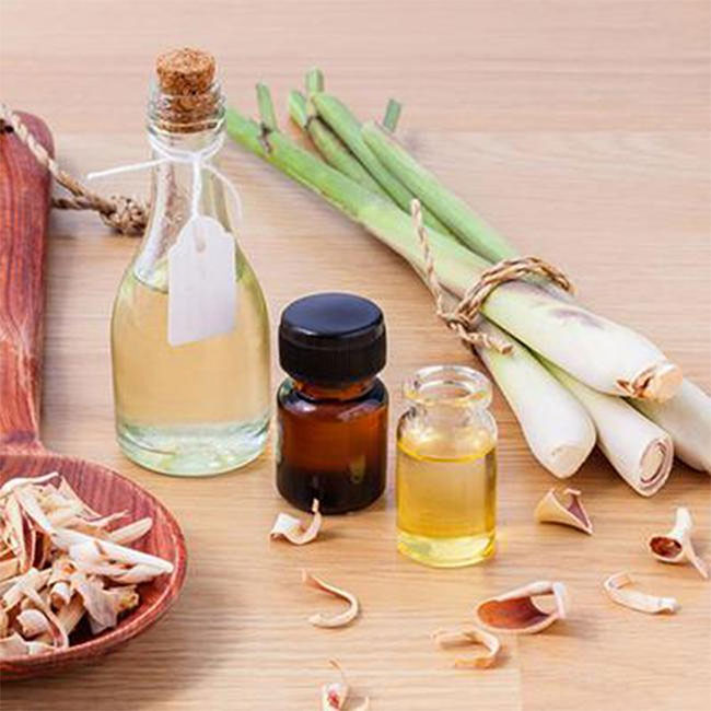 Những cách đuổi chuột tại nhà đơn giản không tốn chi phí