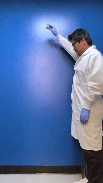 Tìm ra phương pháp biến đổi gỗ thành vật liệu đàn hồi như cao su