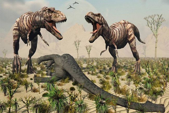 Sắp đấu giá hóa thạch T-Rex hoàn chỉnh nhất thế giới