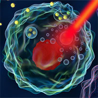 Các nhà khoa học "teleport" nano vàng vào tế bào ung thư và tiêu diệt chúng từ bên trong