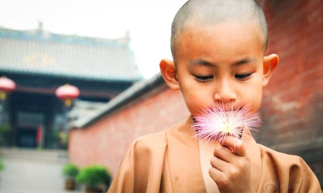 Trên đời nên hạn chế hỏi 
