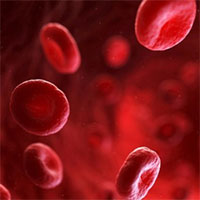 Nhóm máu duy nhất có thể tự động chống lại căn bệnh giết nửa triệu người mỗi năm