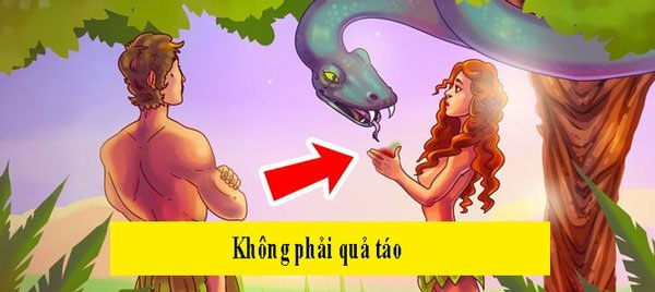Những thông tin sai lầm nhiều người tưởng là khoa học