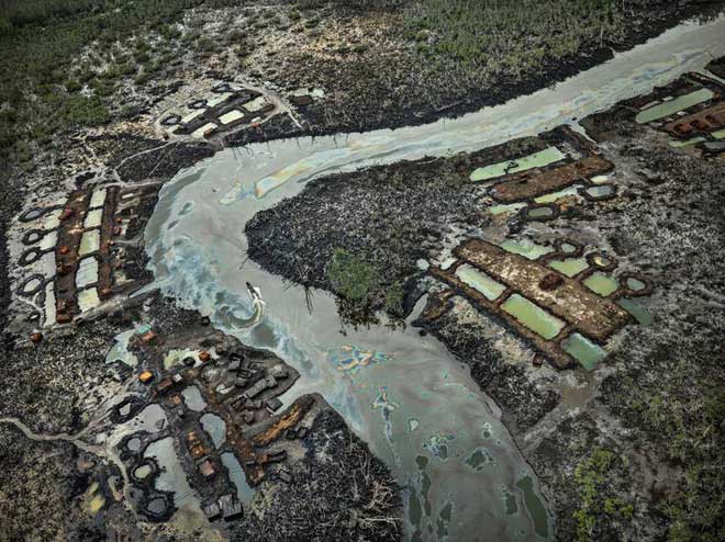 Kỷ nhân sinh Anthropocene và những vết sẹo con người rạch vào Đất Mẹ