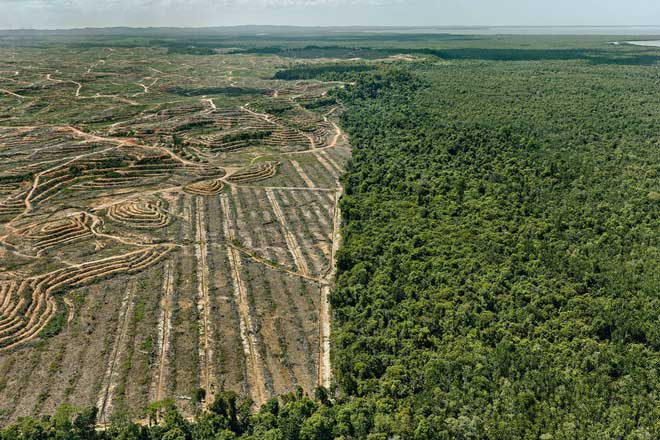 Kỷ nhân sinh Anthropocene và những vết sẹo con người rạch vào Đất Mẹ