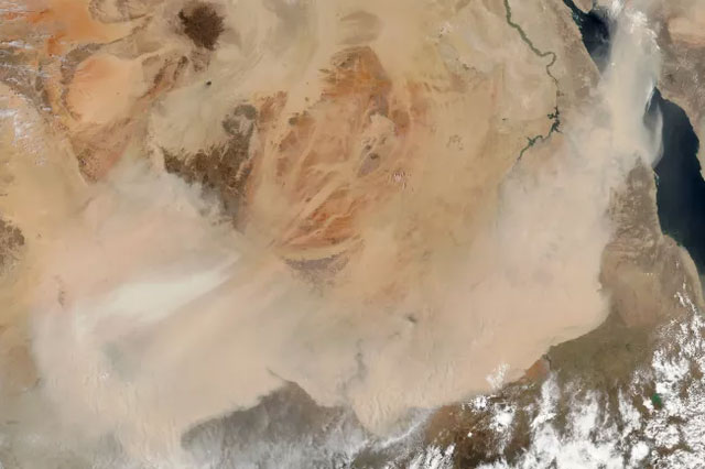 Sa mạc Sahara có thể trở lại là vùng đất màu mỡ không?