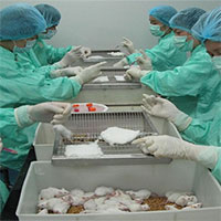 Việt Nam thử nghiệm vaccine Covid-19 trên người vào 2021