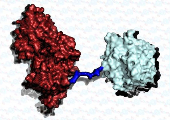 Siêu enzyme mới có thể 